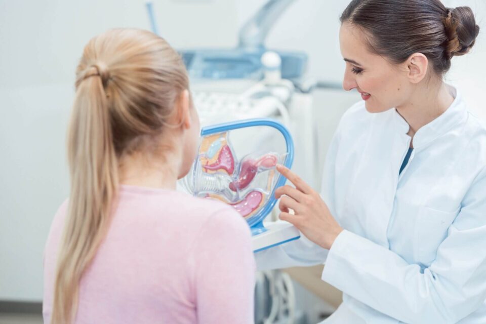 Ärztin erklärt einer Patientin mit Hilfe eines anatomischen Modells die weiblichen Fortpflanzungsorgane – Fokus auf gynäkologische Beratung.