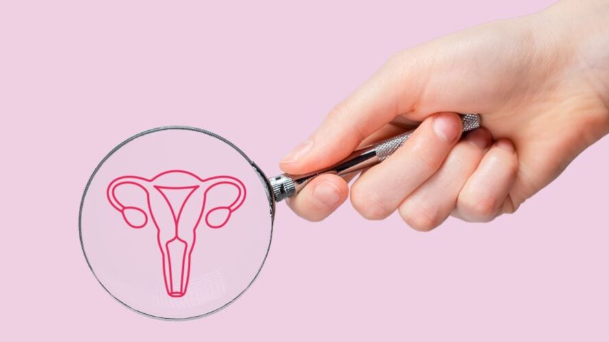 Hand hält eine Lupe, die eine stilisierte Illustration der Gebärmutter zeigt, vor einem rosa Hintergrund – Fokus auf weibliche Gesundheit.