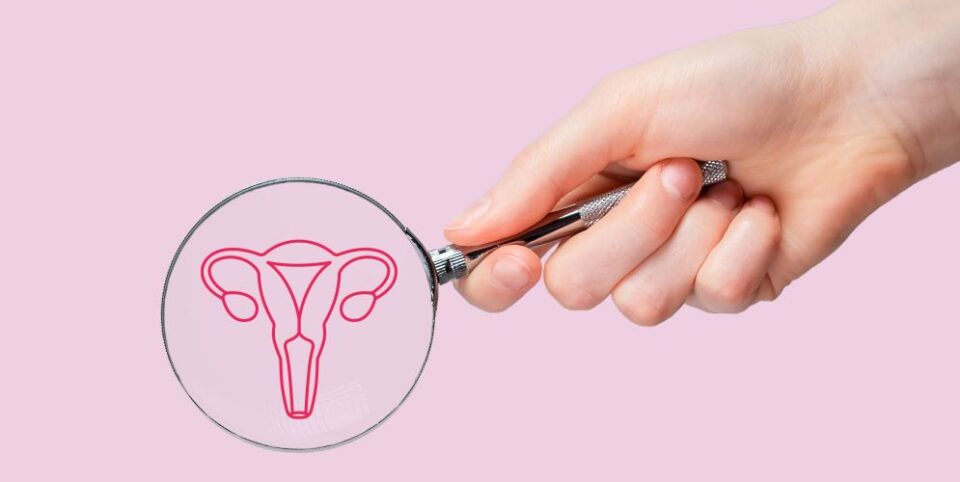 Hand hält eine Lupe, die eine stilisierte Illustration der Gebärmutter zeigt, vor einem rosa Hintergrund – Fokus auf weibliche Gesundheit.
