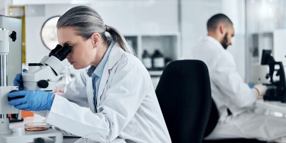 Frau im Labor untersucht eine Probe unter einem Mikroskop, während ein weiterer Wissenschaftler im Hintergrund arbeitet – Fokus auf Forschung und Laboranalysen.