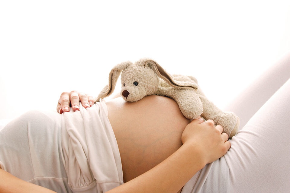 Schwangerer Bauch mit Plüschhase darauf